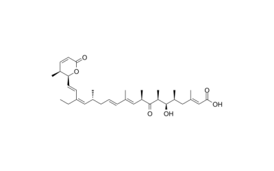 Leptomycin B