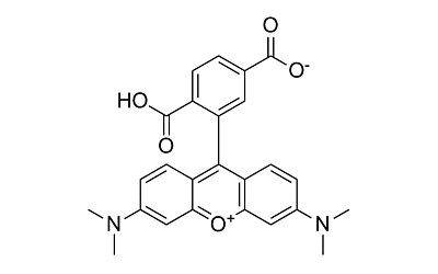 6-TAMRA