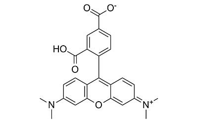5-TAMRA