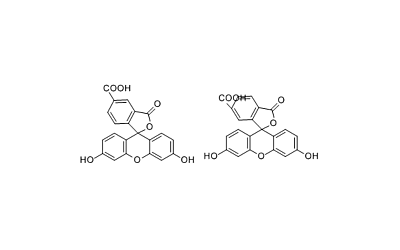 5(6)-Carboxyfluorescein