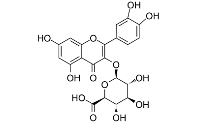 Miquelianin