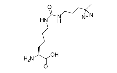 DiZPK