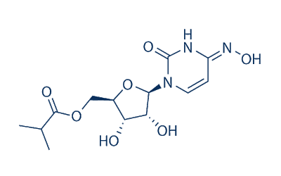 Molnupiravir