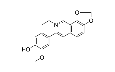 Groenlandicine