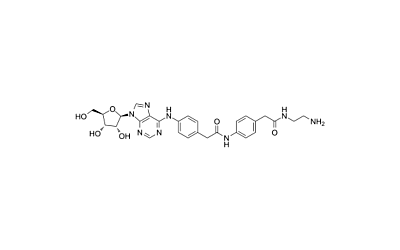 Adenosine amine congener