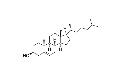 Cholesterol