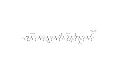 OVA Peptide (323-339)