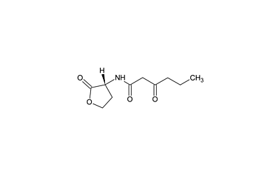 N-(beta-Ketocaproyl)-L-hoMoserine lactone