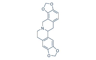 Stylopine