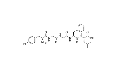 [Leu5]-Enkephalin