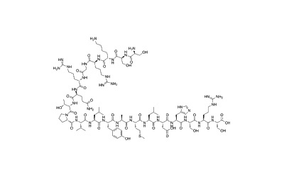 Peripheral Myelin P0 Protein (180-199), mouse