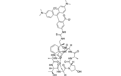 Phalloidin-TRITC