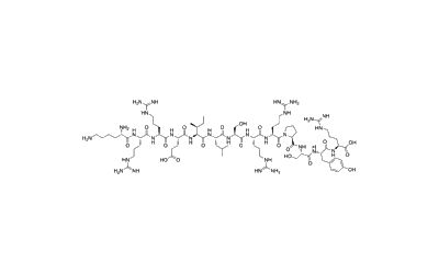 CREBtide
