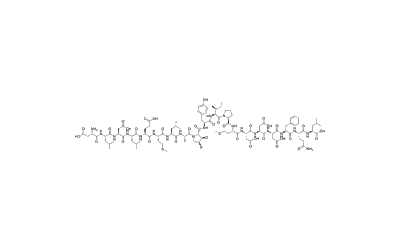 HIF-1 alpha (556-574)