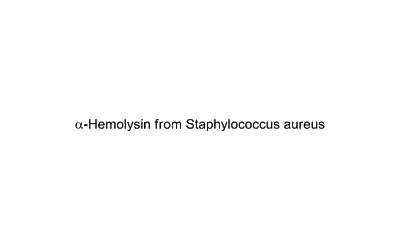 α-Hemolysin (Staphylococcus aureus)
