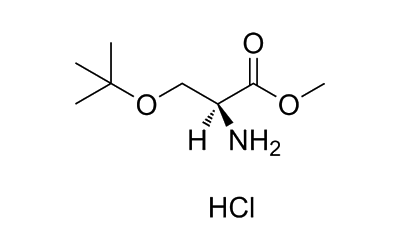 H-Ser(tBu)-OMe.HCl