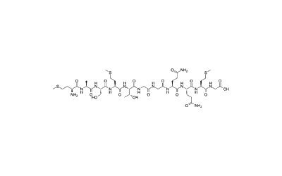 T7 Tag Peptide