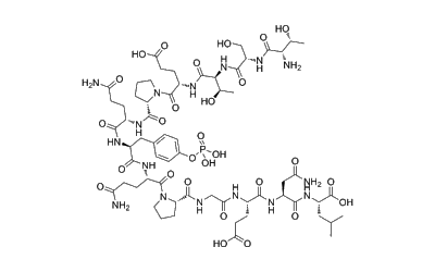 pp60 c-src (521-533) (phosphorylated)