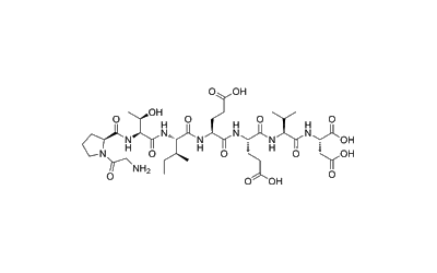 Hsp70-derived octapeptide