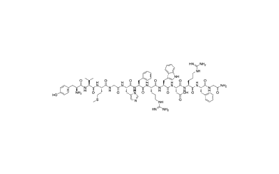 γ-2-MSH (41-58), amide