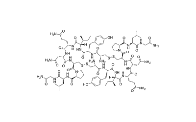 Oxytocin antiparallel dimer