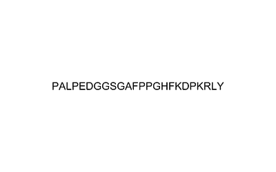 Brain Derived Basic Fibroblast Growth Factor (1-24)