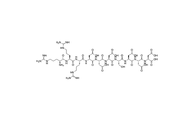 Casein Kinase 2 Substrate Peptide