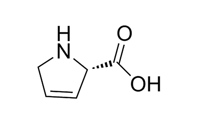 3,4-Dehydro-L-proline