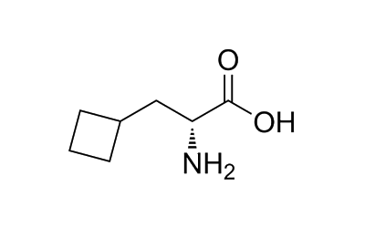 (R)-2-amino-3-cyclobutylpropanoic acid