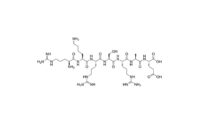 PKG Substrate