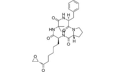 Chlamydocin