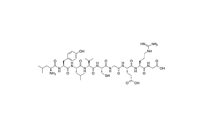 Insulin β Chain Peptide (15-23)