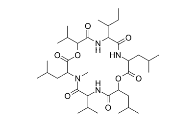 Sporidesmolide V