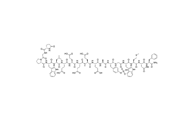 Gastrin I (human) (sulfated)