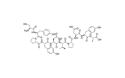 Influenza hemagglutinin (HA) epitope