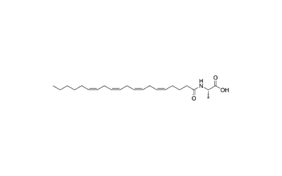 N-Arachidonoyl-L-alanine