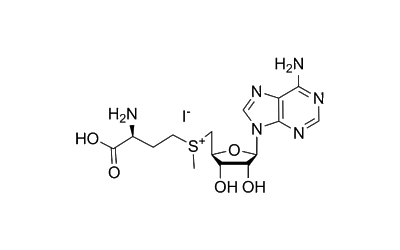 S-Adenosyl-L-methionine iodide