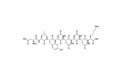 X-press Tag Peptide