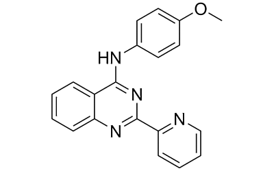 Group II intron-IN-1