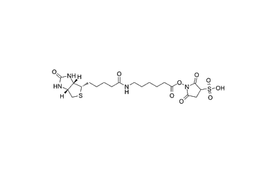 Sulfo-NHS-LC-Biotin