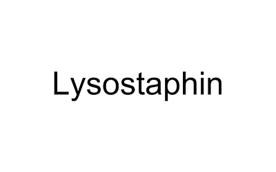 Lysostaphin