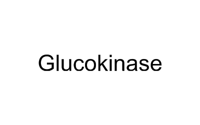 Glucokinase