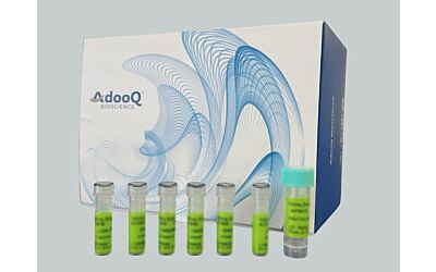 Protease Inhibitor Cocktail (EDTA-Free, 100X in DMSO)